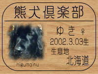 �I�[�i�[�́A�䂫�}�}����ł���